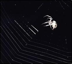 �׹��˿���͸���۾���Ƶ������29����Ԫ�չ�Ħ�����������ֻ�ҵ��...